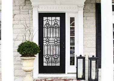 O vidro embutido elegante do ferro forjado/vidro decorativo da porta para a mão de construção forjou texturas